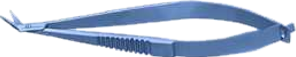 Keratoplasty Scissors Angled